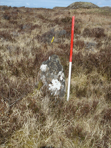 MHG57219_05.JPG