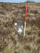 MHG57219_05.JPG