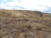 MHG57220_01.JPG