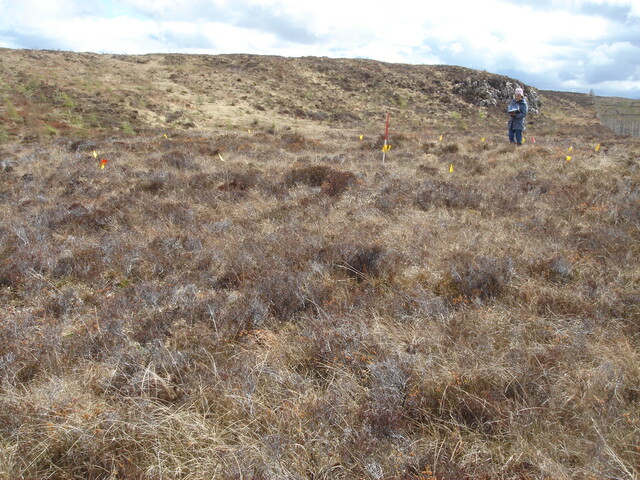 MHG57220_02.JPG
