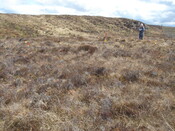 MHG57220_02.JPG