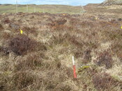 MHG57220_03.JPG