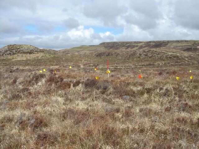 MHG57220_04.JPG