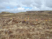 MHG57220_04.JPG