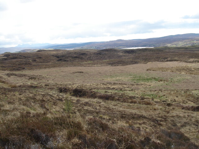MHG38863_01.JPG