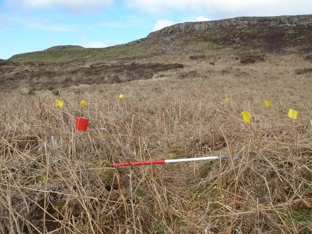 MHG38863_03.JPG