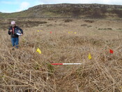 MHG38863_04.JPG
