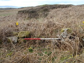 MHG38863_05.JPG