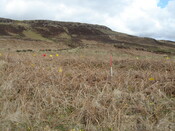 MHG38863_06.JPG