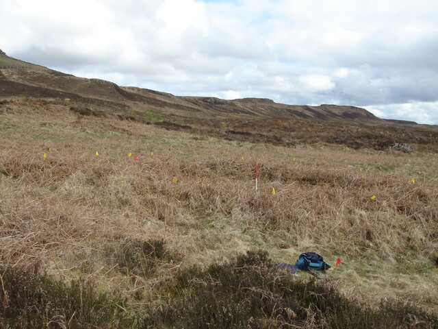 MHG38863_07.JPG