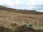 MHG38863_07.JPG