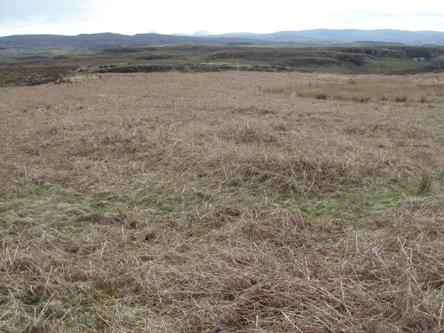 MHG38863_08.JPG