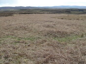 MHG38863_08.JPG