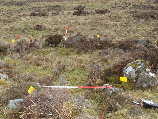 MHG38861_01.JPG