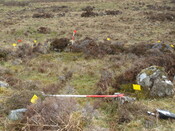 MHG38861_01.JPG