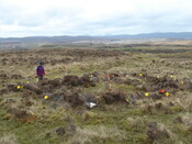 MHG38861_03.JPG