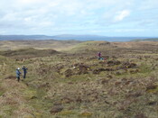 MHG38861_04.JPG