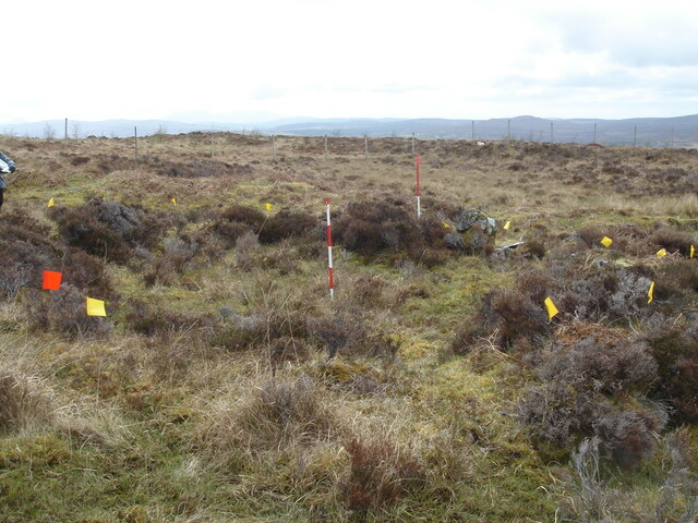 MHG38861_05.JPG