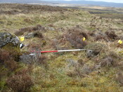 MHG38861_06.JPG