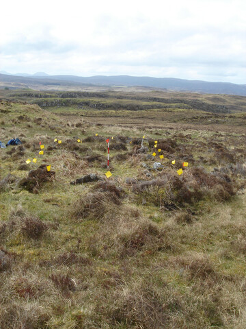 MHG39904_01.JPG