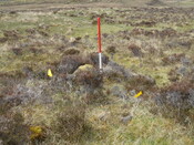 MHG39904_02.JPG