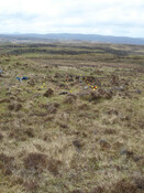 MHG39904_03.JPG