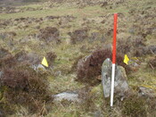 MHG39904_05.JPG