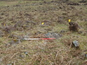 MHG39904_06.JPG