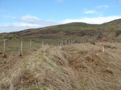 MHG38862_03.JPG