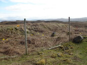 MHG57223_01.JPG