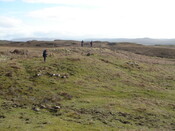 MHG57223_03.JPG