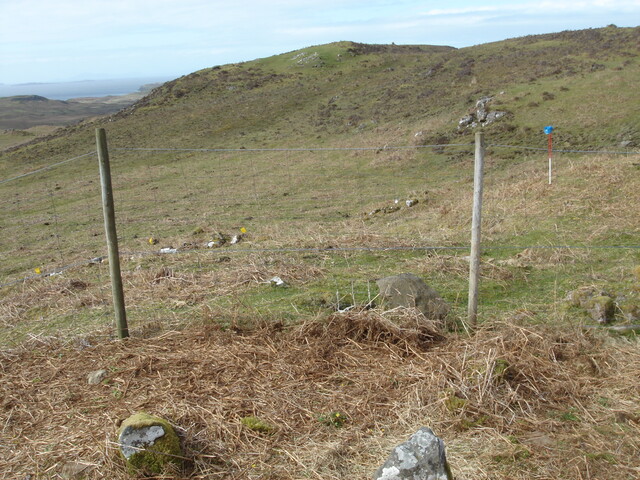 MHG57223_05.JPG