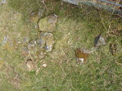 MHG57223_06.JPG