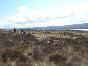 MHG38854_02.JPG
