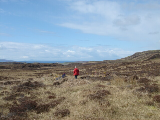 MHG38854_04.JPG
