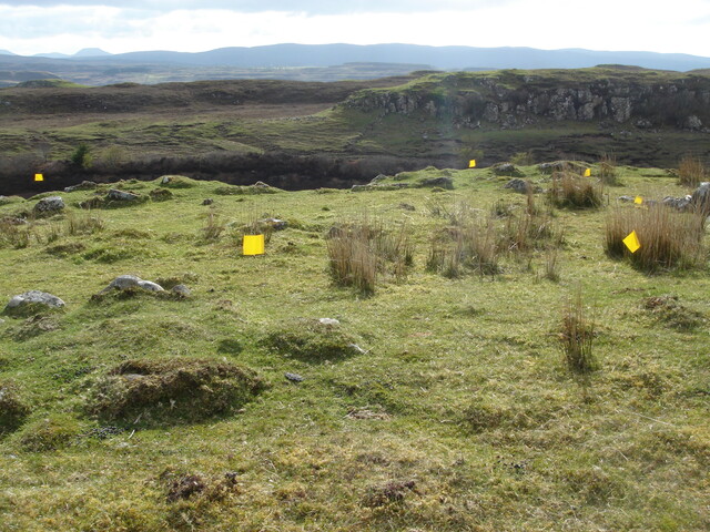 MHG57225_01.JPG