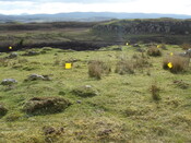 MHG57225_01.JPG