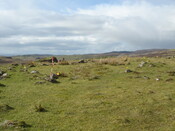 MHG57225_03.JPG