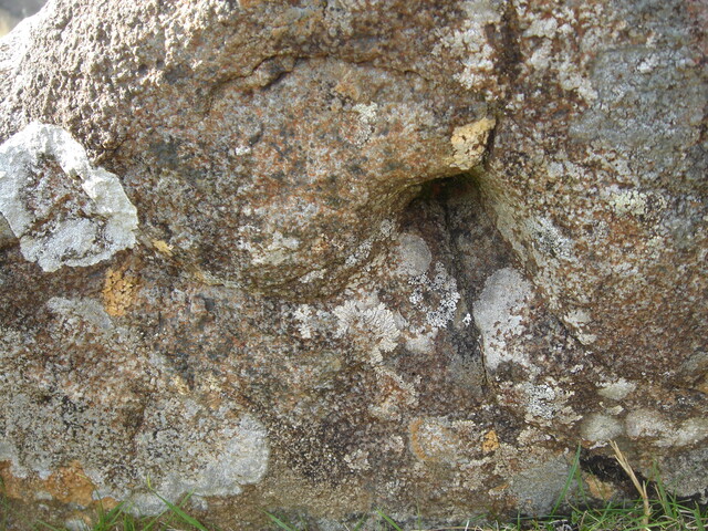 MHG57225_06.JPG