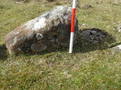 MHG57225_07.JPG