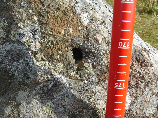 MHG57225_08.JPG