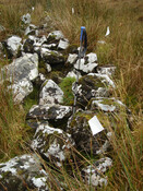 MHG57233_02.JPG