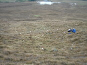 MHG28977_01.JPG