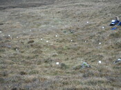 MHG57234_01.JPG