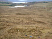 MHG28979_01.JPG