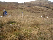 MHG28979_02.JPG