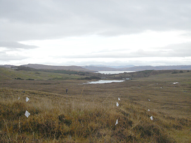 MHG28979_03.jpg
