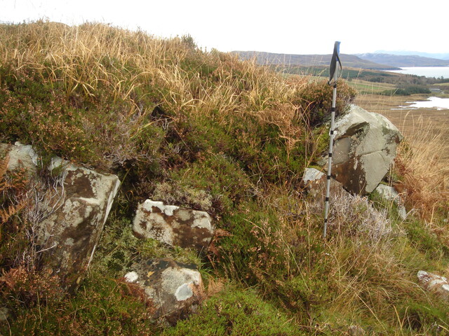 MHG28978_03.JPG