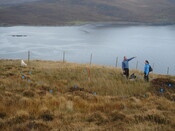 MHG29079_02.JPG
