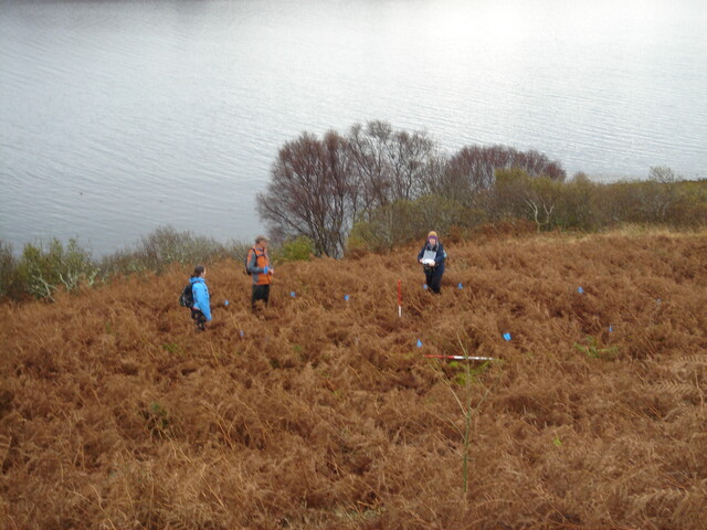 MHG29081_01.JPG